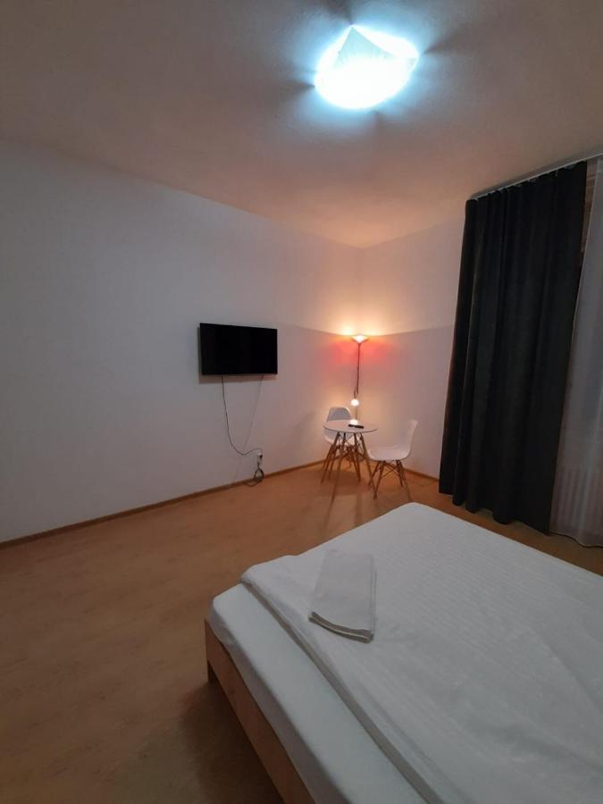 Piata Unirii- 1 Room Studio Apartment ティミショアラ エクステリア 写真