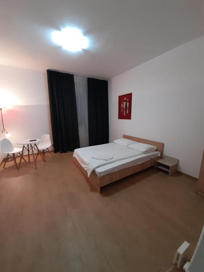 Piata Unirii- 1 Room Studio Apartment ティミショアラ エクステリア 写真